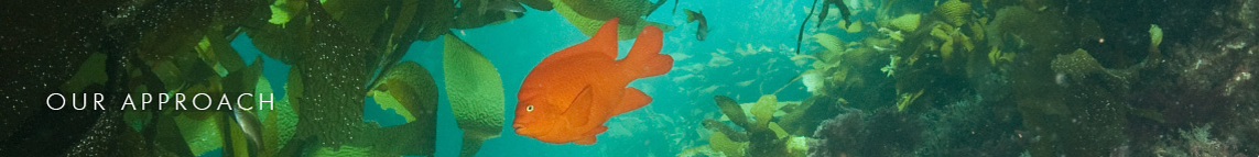 CoastalQuest-Banners-our-approach